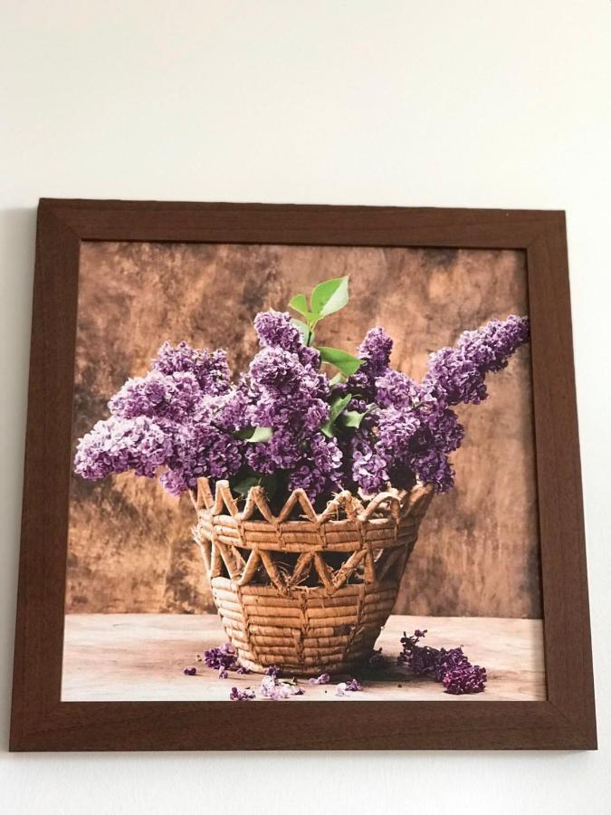 Studio Apartmani Paola Rijeka Ngoại thất bức ảnh